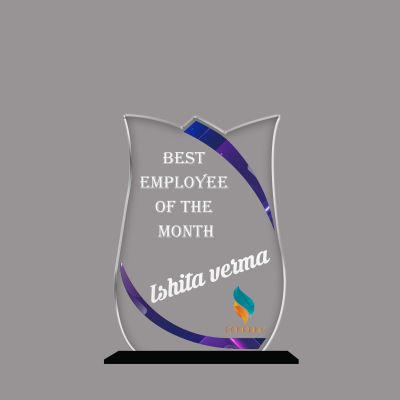 Personalized Best Employee of The Month Award Custom Acrylic Trophy with Name  Unique Recognition Gift for Staff and Coworkers Employee Achievement Award